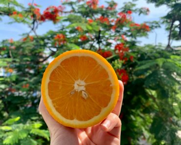 Does Vitamin C Help the Immune System?
