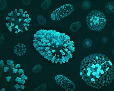 Why Do I Keep Getting Infections? Causes and How to Prevent Them Why Do I Keep Getting Infections? Causes and How to Prevent Them